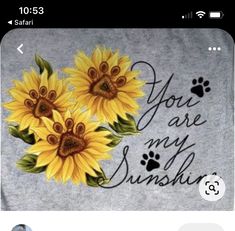 two yellow sunflowers with the words you are my sunshine written on them and paw prints