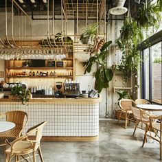 the interior of a restaurant with tables, chairs and plants hanging from the ceiling over the counter