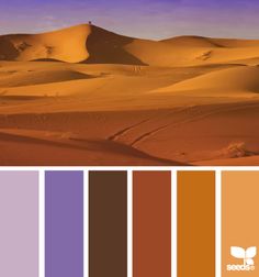 the desert is filled with sand dunes, and there are many colors to choose from