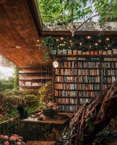 the bookshelf is filled with lots of books and plants in front of it