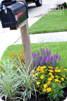 a mailbox in the middle of a flower bed