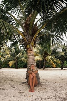 a woman sitting under a palm tree on the beach