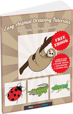 an easy animal drawing book with pictures of animals and bugs on the cover, including a slot