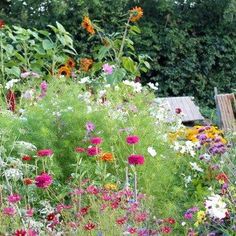 a garden filled with lots of colorful flowers