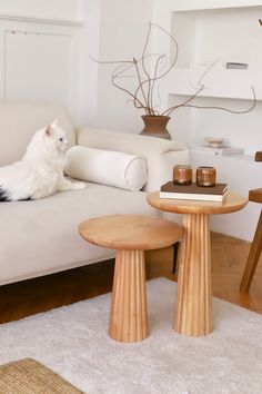 a white cat laying on top of a couch next to a table and chair in a living room