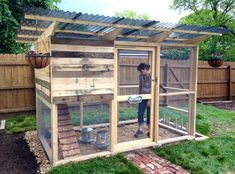 a person standing inside of a chicken coop