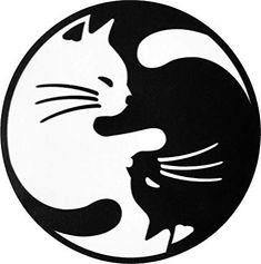 a black and white image of a cat in a circle