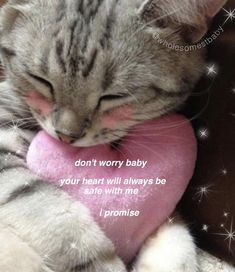 a cat is sleeping with its head on a pink heart shaped pillow that says, don't worry baby your heart will always be safe with me i promise