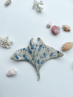 various sea shells and starfish on a white surface