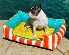 a small dog sitting on top of an orange and white bed next to a pool