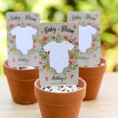 three flower potted plants with baby clothes tags in them on top of each planter