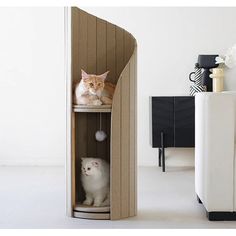 two cats sitting on top of a shelf next to each other in a living room