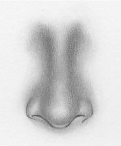 a pencil drawing of a nose