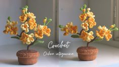 two small crocheted pots with flowers in them