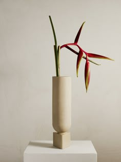 Tava vase in sandy stoneware with heliconia Tall Ceramic Vase, Ceramic Vases Design, Large Ceramic Vase, Large Flower Arrangements, Pedestal Vase, Elegant Vases, Sight Unseen, Tall Centerpieces, Sculptural Object