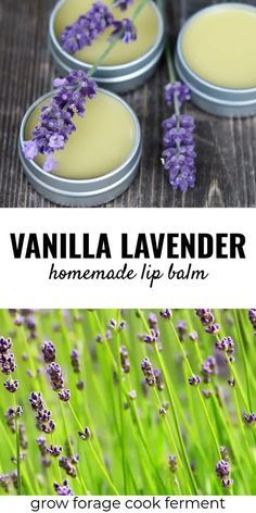 Diy Lipbalm, Lavender Recipe, Lip Balm Diy, Lavender Lip Balm, Homemade Salve, Homemade Lip Balm Recipe, Lip Balm Recipe, Diy Lip Balm Recipes, Vanilla Lavender