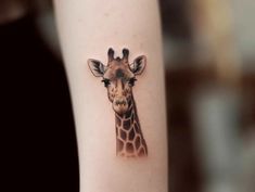 a giraffe's head is shown on the right side of the arm