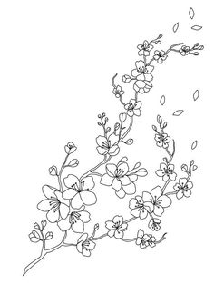 a line drawing of flowers on a white background