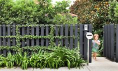 Anthony Wye black picket fence, gardenista Pagar Modern, Black Fence, Front Fence, Garden Vines, Front Yard Fence, Fence Landscaping, Modern Fence, Casa Exterior, Backyard Fences