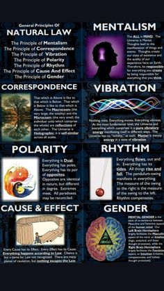 Seven Hermetic Principles, The Kybalion, Empathy Lessons, Clairvoyant Psychic Abilities, Book Of Solomon, Hermetic Principles, 12 Laws Of Karma, Crop Circles Sacred Geometry, How To Start Meditating