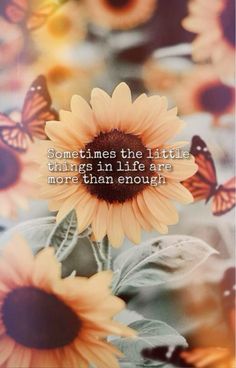 sunflowers and butterflies with the quote sometimes the little things in life are more than enough