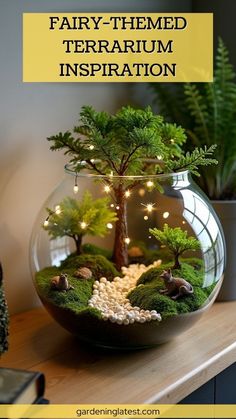 a glass bowl filled with plants and rocks