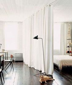 a cat laying on the floor in front of a bed with white drapes over it