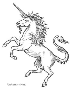 an ink drawing of a unicorn with a long mane and tail, standing on its hind legs