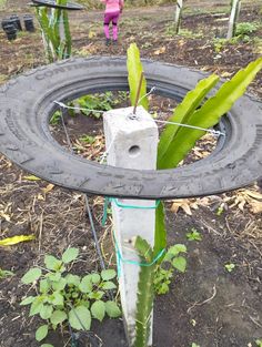 an old tire is attached to a planter in the middle of a garden area