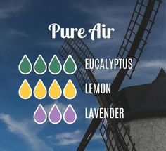 Doterra Oils Recipes, Essential Oils Video, Air Diffuser, Lavender Eucalyptus, Pure Air