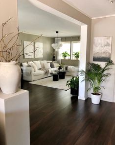 a living room filled with white furniture and potted plants on top of hard wood floors