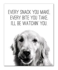 a black and white photo of a dog's face with the words, every snack you make, every bite you take, i'll'll be watchin't you