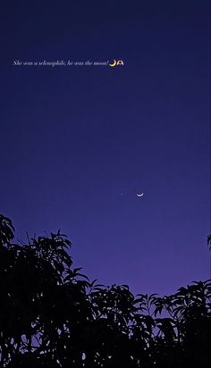 the moon and venus are seen through some trees