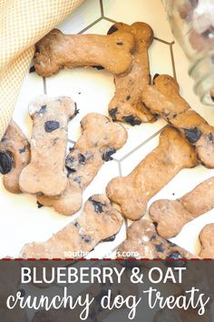 blueberry and oat crunchy dog treats on a white table with text overlay