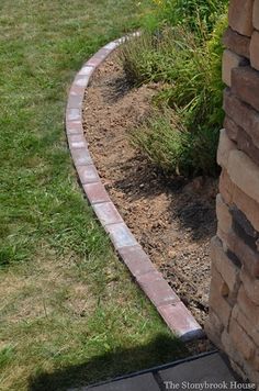 a cat sitting on the edge of a brick wall next to a flower bed and grass