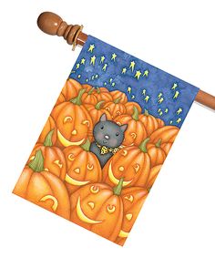 a bat that is sitting on top of a pumpkin patch with a cat in it