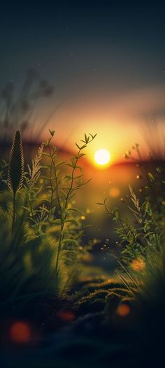 the sun is setting over some grass and plants in front of a body of water