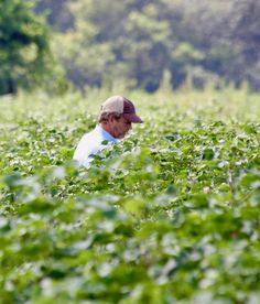 a man standing in the middle of a field with lots of green leaves on it