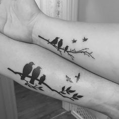 two birds are sitting on the branch of a tree