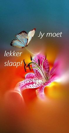 two butterflies flying over a pink flower with the words, i'm not leker slap