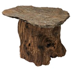 a piece of wood that has been turned into a table with a tree stump on it