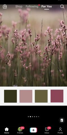 an image of some pink flowers in the field with color swatches on it and text overlay that reads, shop following for you