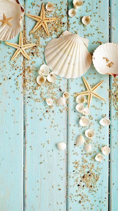 seashells and starfish on a blue wooden background with sand scattered around them