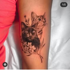 two cats on the arm with flowers and leaves in front of their faces, one cat is looking up at the viewer