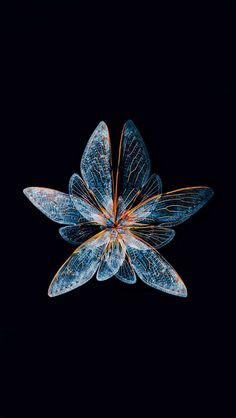 a blue flower that is in the dark