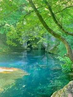 a river that is surrounded by trees and rocks