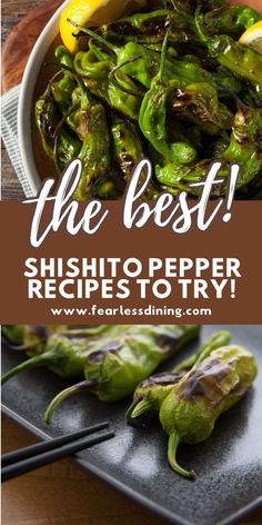 the best shishito pepper recipe is to try and it's easy to make