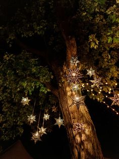 a tree that has some lights on it