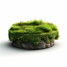 a round table with grass growing on it