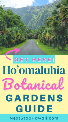 Image of entrance road at Hoomaluhia Botanical Garden Oahu, Text reads Get Here Ho'omaluhia Botanical Gardens Guide. Oahu Botanical Gardens, Hoomaluhia Botanical Gardens, Oahu Mountains, Oahu Things To Do, Oahu Activities, Honolulu Vacation, Oahu Beaches, Oahu Vacation, Oahu Travel